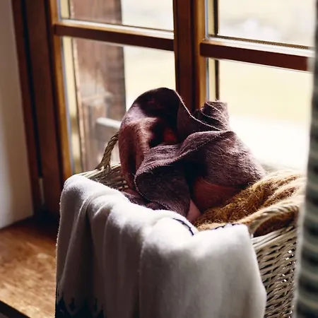 山林小屋 Rifugio Malga Ra Stua *