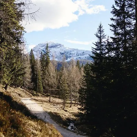 Rifugio Malga Ra Stua 科尔蒂纳丹佩佐