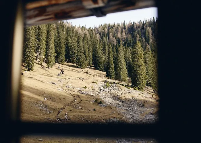 Rifugio Malga Ra Stua Alojamento de Turismo Selvagem *