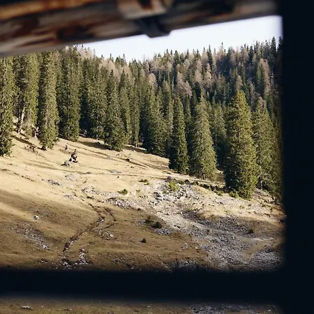 Rifugio Malga Ra Stua Chata *