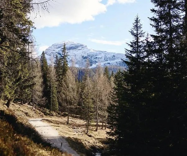 Rifugio Malga Ra Stua Cortina d'Ampezzo