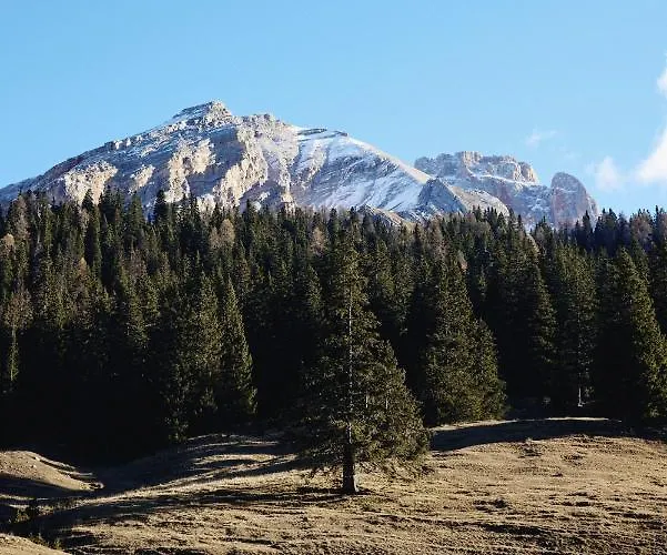 Rifugio Malga Ra Stua * Cortina d'Ampezzo